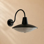 Cedric Blackened Iron Ribbed Glass Outdoor Sconce
