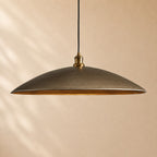 Ternen Metal Fan Pendant